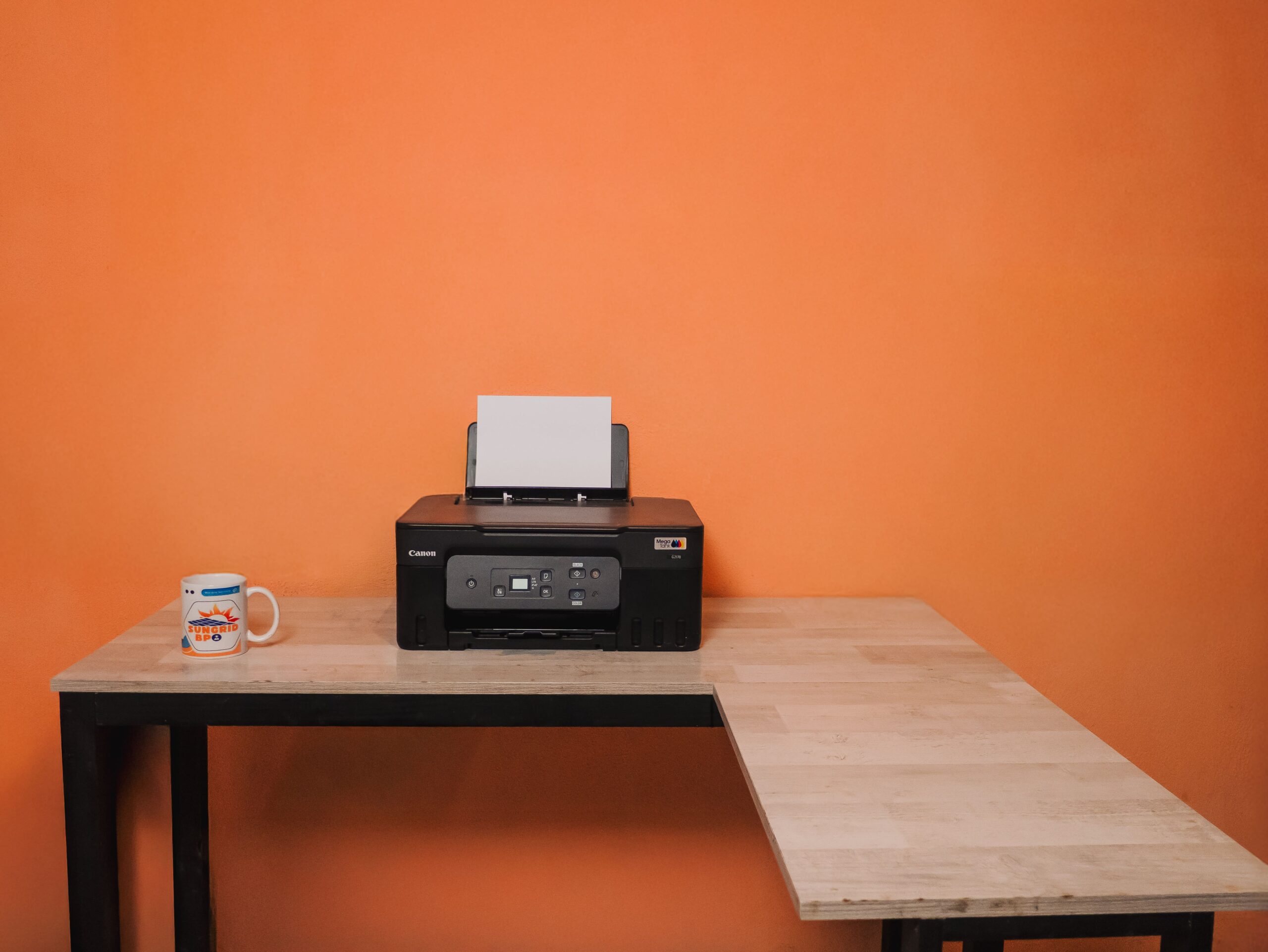 Sungrid Mug with Printer Image